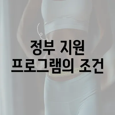 정부 지원 프로그램의 조건