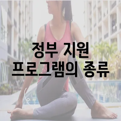 정부 지원 프로그램의 종류