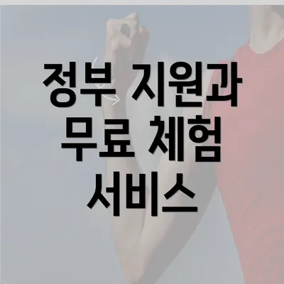 정부 지원과 무료 체험 서비스