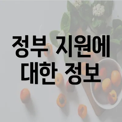 정부 지원에 대한 정보