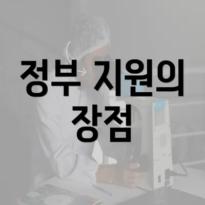 정부 지원의 장점