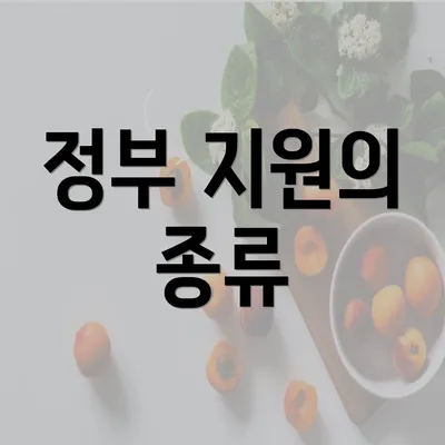 정부 지원의 종류