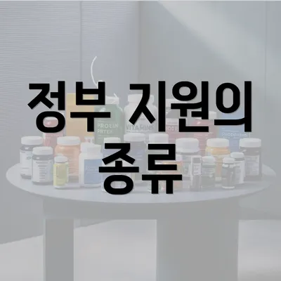 정부 지원의 종류