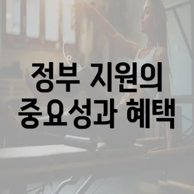 정부 지원의 중요성과 혜택