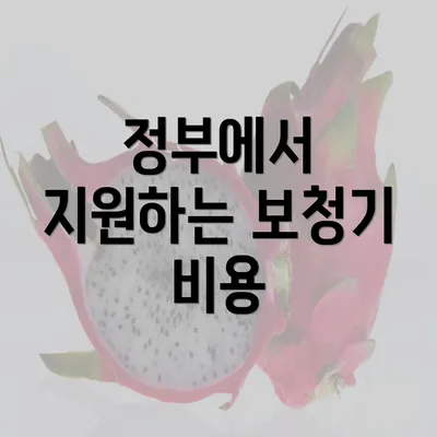 정부에서 지원하는 보청기 비용