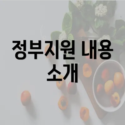 정부지원 내용 소개