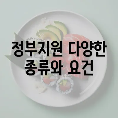 정부지원 다양한 종류와 요건