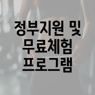 정부지원 및 무료체험 프로그램