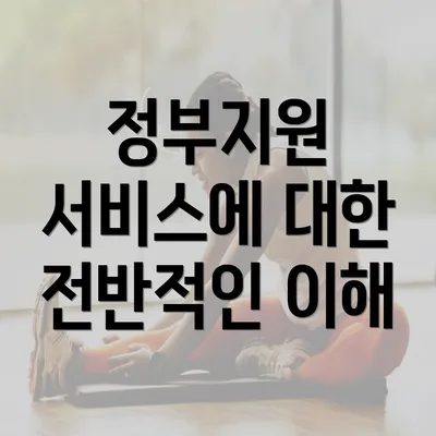 정부지원 서비스에 대한 전반적인 이해