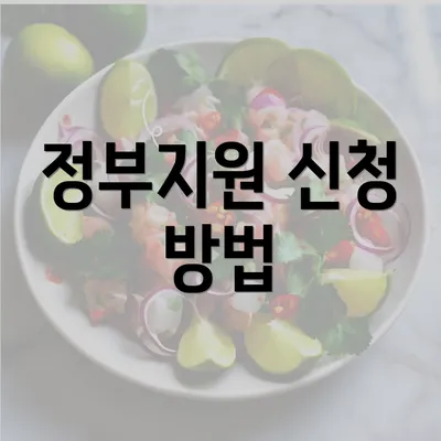 정부지원 신청 방법