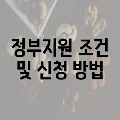 정부지원 조건 및 신청 방법