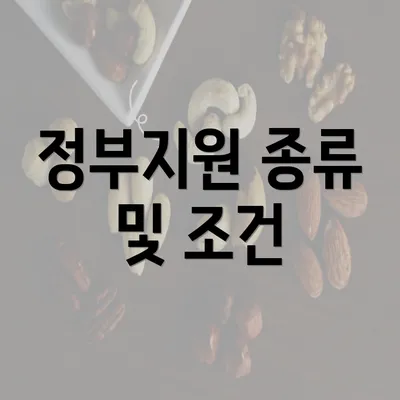 정부지원 종류 및 조건