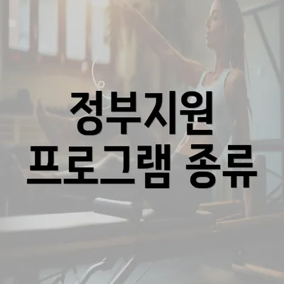 정부지원 프로그램 종류