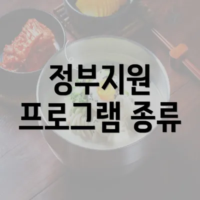 정부지원 프로그램 종류