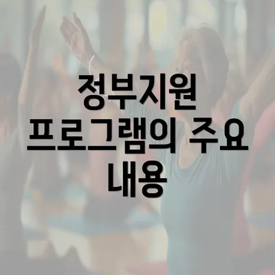 정부지원 프로그램의 주요 내용