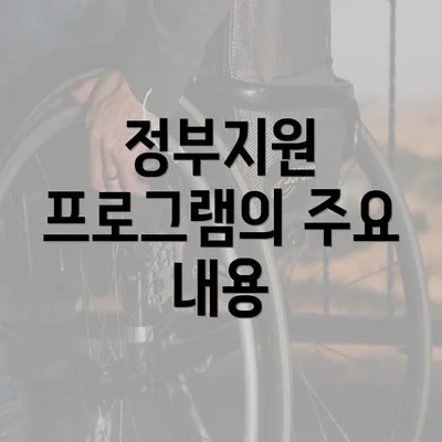 정부지원 프로그램의 주요 내용