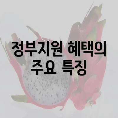 정부지원 혜택의 주요 특징