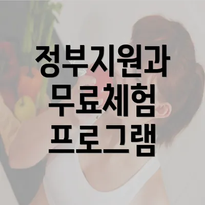 정부지원과 무료체험 프로그램