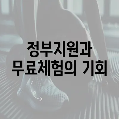 정부지원과 무료체험의 기회