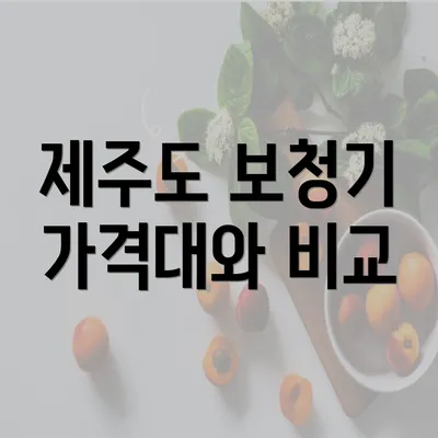 제주도 보청기 가격대와 비교