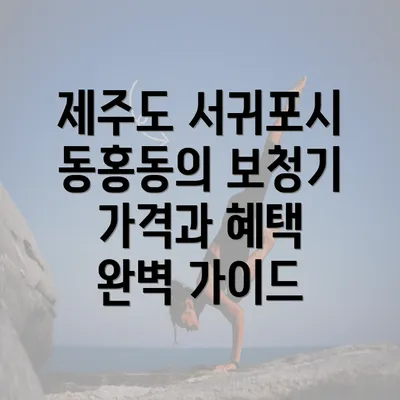 제주도 서귀포시 동홍동의 보청기 가격과 혜택 완벽 가이드