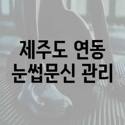 제주도 연동 눈썹문신 관리