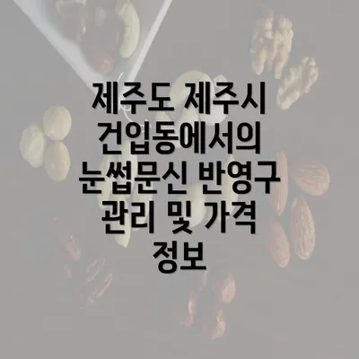 제주도 제주시 건입동에서의 눈썹문신 반영구 관리 및 가격 정보