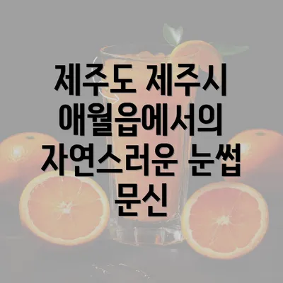 제주도 제주시 애월읍에서의 자연스러운 눈썹 문신