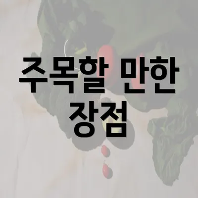 주목할 만한 장점