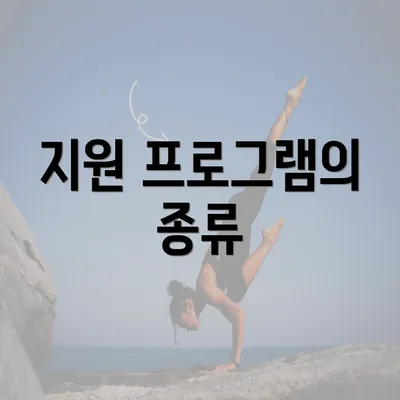 지원 프로그램의 종류