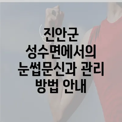 진안군 성수면에서의 눈썹문신과 관리 방법 안내