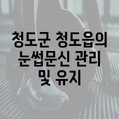 청도군 청도읍의 눈썹문신 관리 및 유지