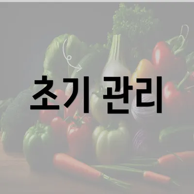 초기 관리