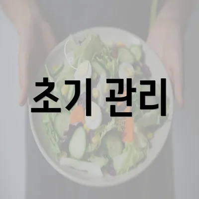 초기 관리