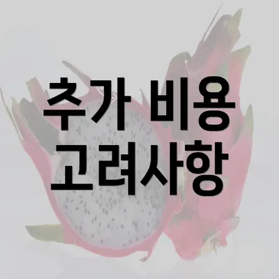 추가 비용 고려사항