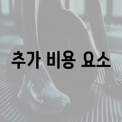 추가 비용 요소