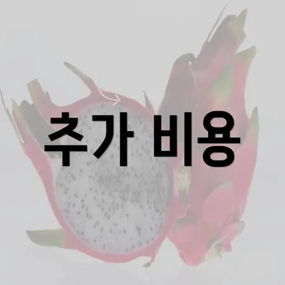 추가 비용