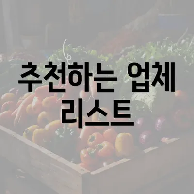 추천하는 업체 리스트