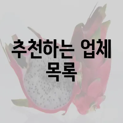 추천하는 업체 목록