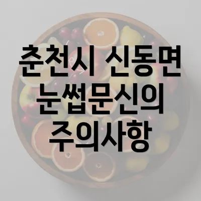 춘천시 신동면 눈썹문신의 주의사항