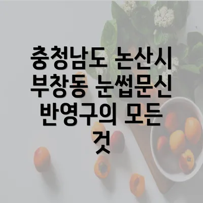 충청남도 논산시 부창동 눈썹문신 반영구의 모든 것