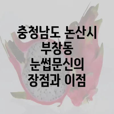 충청남도 논산시 부창동 눈썹문신의 장점과 이점