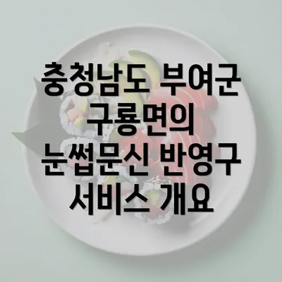 충청남도 부여군 구룡면의 눈썹문신 반영구 서비스 개요