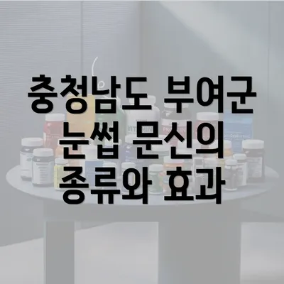 충청남도 부여군 눈썹 문신의 종류와 효과