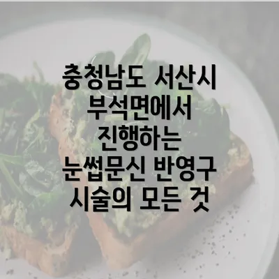 충청남도 서산시 부석면에서 진행하는 눈썹문신 반영구 시술의 모든 것