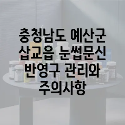 충청남도 예산군 삽교읍 눈썹문신 반영구 관리와 주의사항