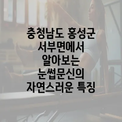 충청남도 홍성군 서부면에서 알아보는 눈썹문신의 자연스러운 특징