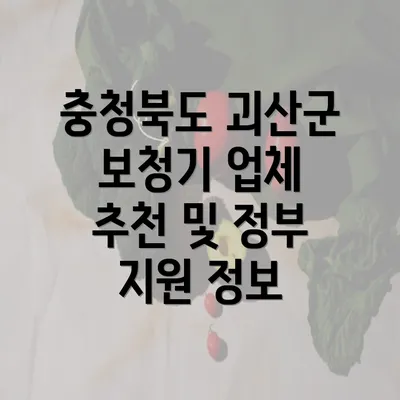 충청북도 괴산군 보청기 업체 추천 및 정부 지원 정보