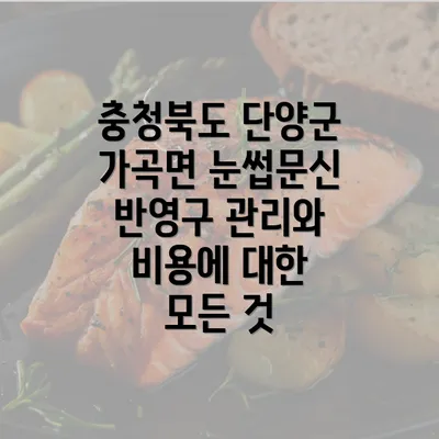 충청북도 단양군 가곡면 눈썹문신 반영구 관리와 비용에 대한 모든 것