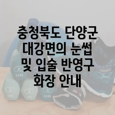 충청북도 단양군 대강면의 눈썹 및 입술 반영구 화장 안내